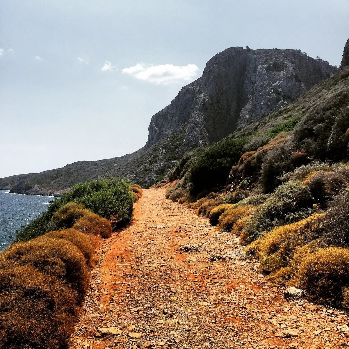 Coastal Path vs. Mountain Route: Choosing Your Next UK Trail